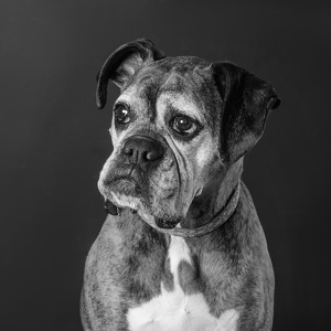 Fundraising Page: Tala Leigh Hudecek